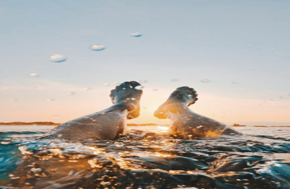 Slapen op het water: de meest unieke drijvende overnachtingen in Nederland