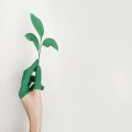 De mooiste onontdekte natuurgebieden van Nederland voor uitstapjes