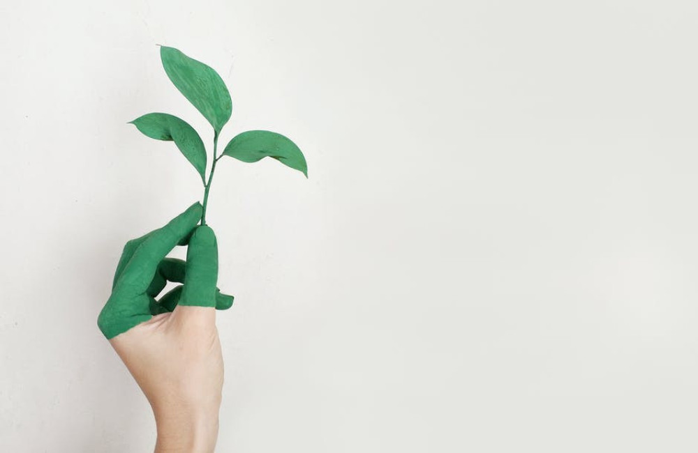 De mooiste onontdekte natuurgebieden van Nederland voor uitstapjes